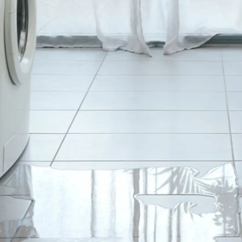 Appliance Leak Cleanup in Reynoldsville, PA