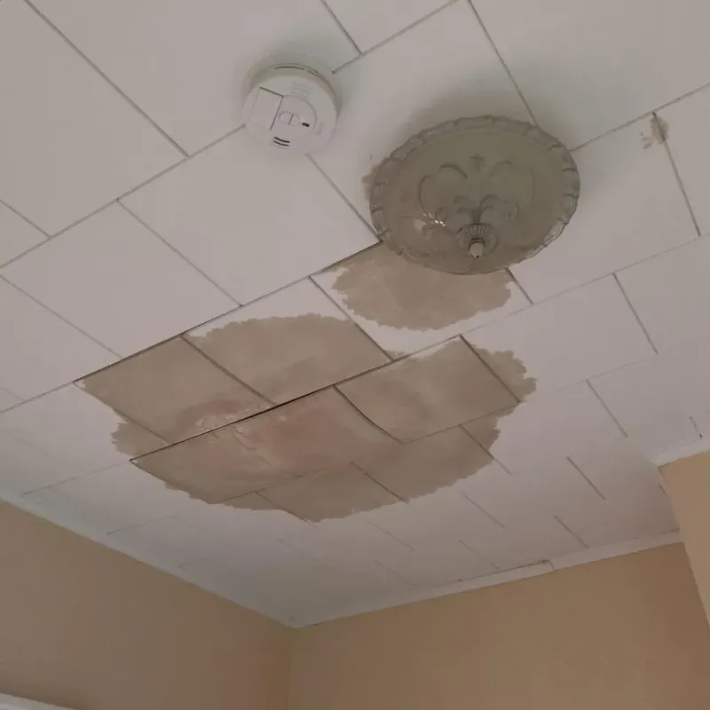 Ceiling Water Damage Repair in Reynoldsville, PA