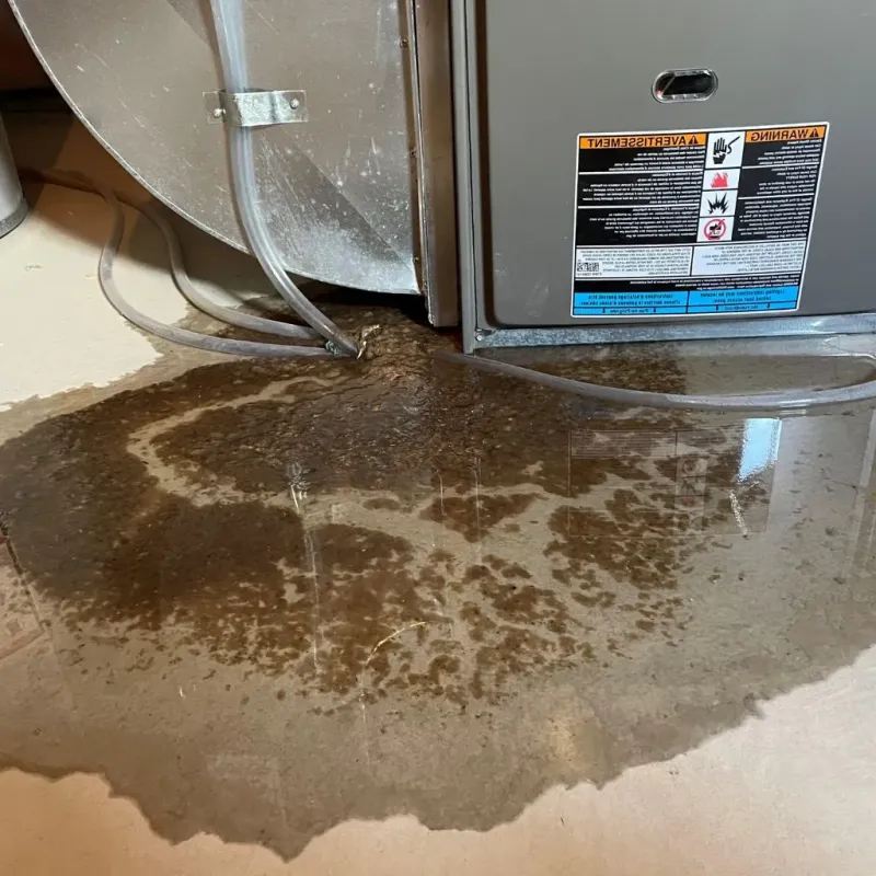 Pipe Burst and Leak Restoration in Reynoldsville, PA