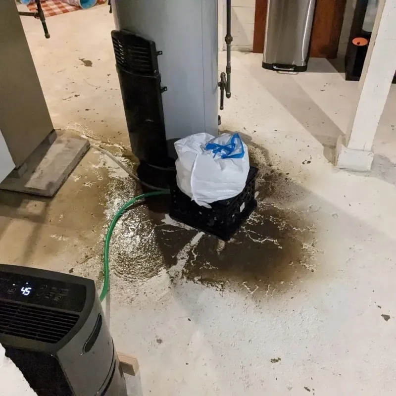 Sewage Backup Cleanup Service in Reynoldsville, PA